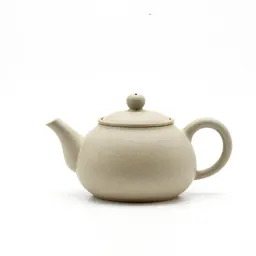 Teapot with an infuser