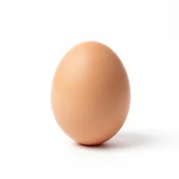 Egg timer