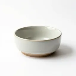 Ceramic dog bowl