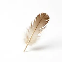 Feather wand toy