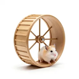Hamster wheel