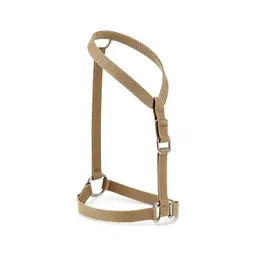 Harness with a handle