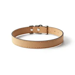 Martingale collar