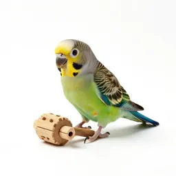 Parrot foraging toy