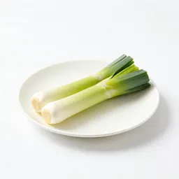 Leek