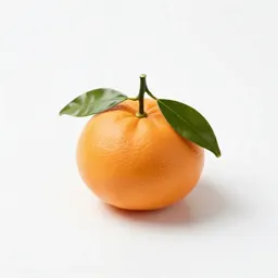 Mandarin with leaves