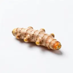 Turmeric root