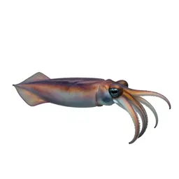 Giant squid