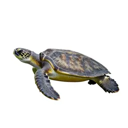Leatherback turtle
