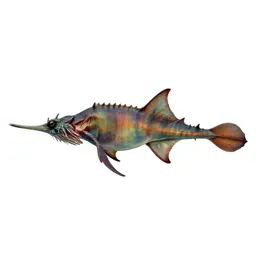 Seadragon