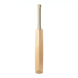 Cricket bat