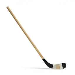 Hockey stick