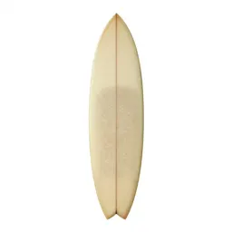 Surfboard