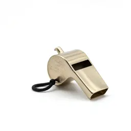 Whistle on a lanyard