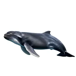 Bottle-nosed whale