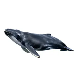 Bowhead