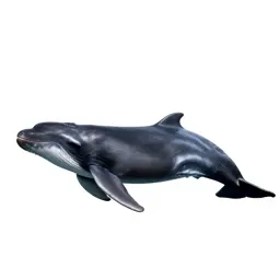 Pilot whale
