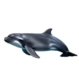 Pygmy sperm whale