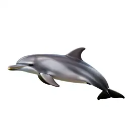 River dolphin