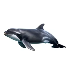 Toothed whale