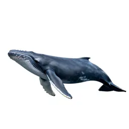 Whale