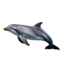 Aquatic mammal