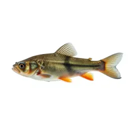 Bottom-feeder