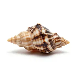 Bubble shell