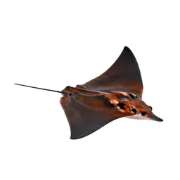 Devil ray