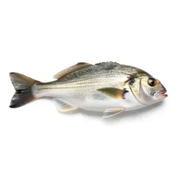 Dory