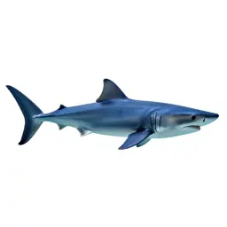 Longfin mako