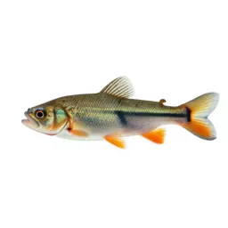 Topminnow