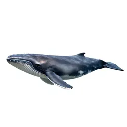 Whale louse