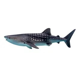Whale shark