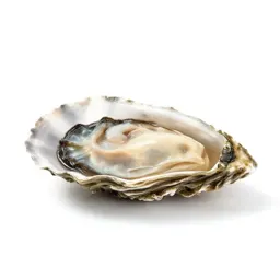 Window oyster