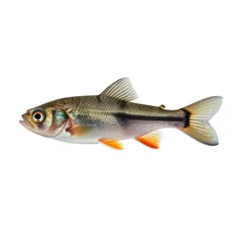Anomalops