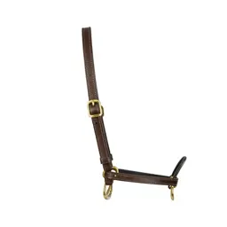 Bridle with brass fittings
