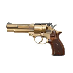 Duelling pistol case
