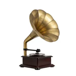 Phonograph with a horn