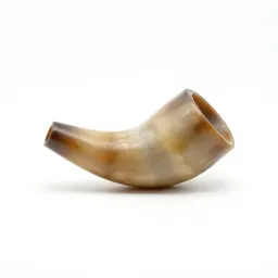 Powder horn