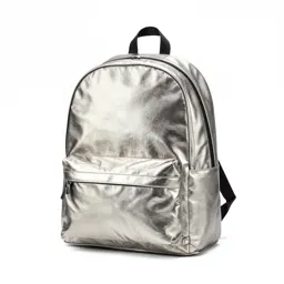 Stainless steel backpack