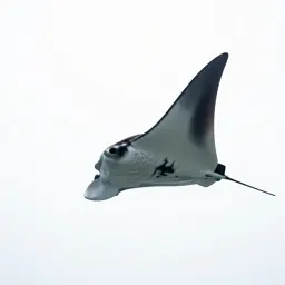 Manta ray gliding