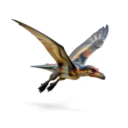 Pteranodon gliding