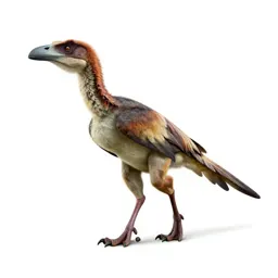 Archaeopteryx
