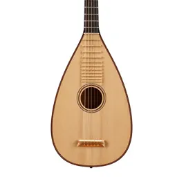 Bard's lute