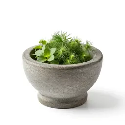Mortar of glowing herbs