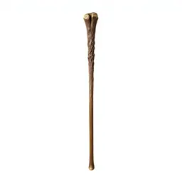 Wizard's staff