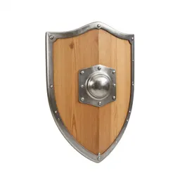 Wooden shield with an iron boss