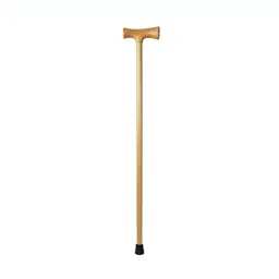 Walking cane