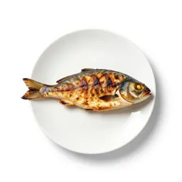 Grilled fish on a plate